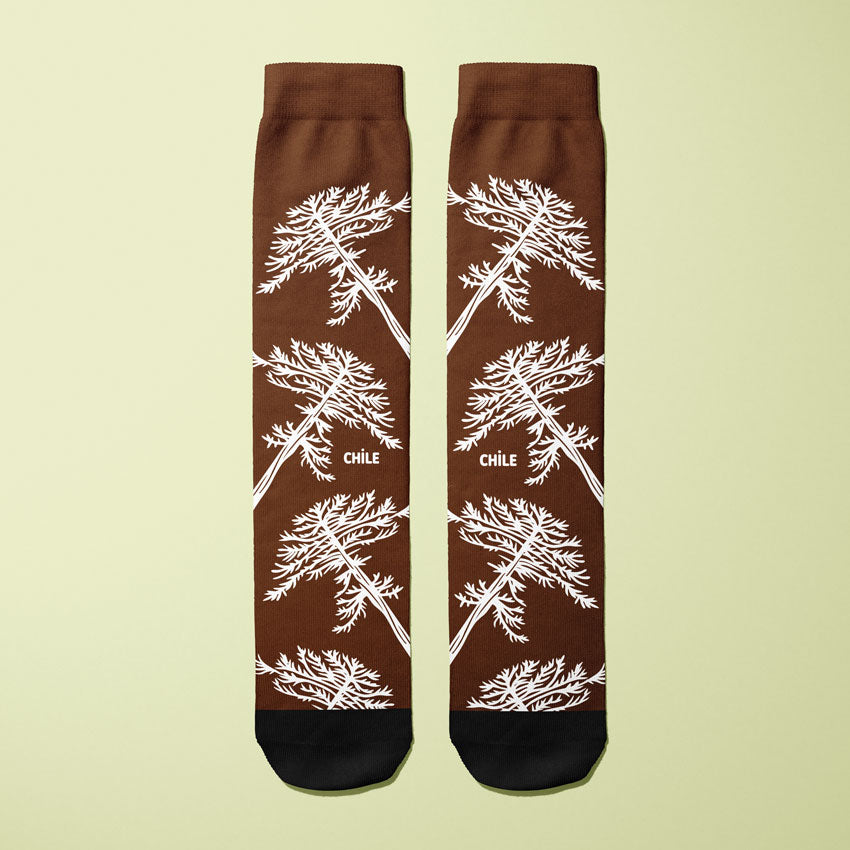Chilean Araucaria Socks