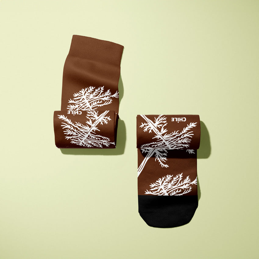 Chilean Araucaria Socks