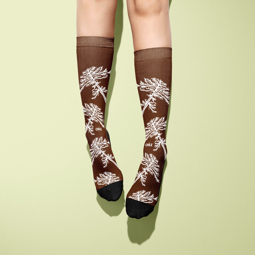Chilean Araucaria Socks