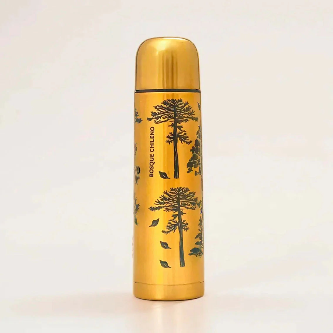 Termo-Bosques-chilenos