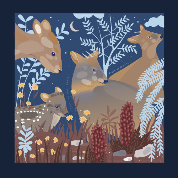 Pañuelo Pudúes en la Noche 80