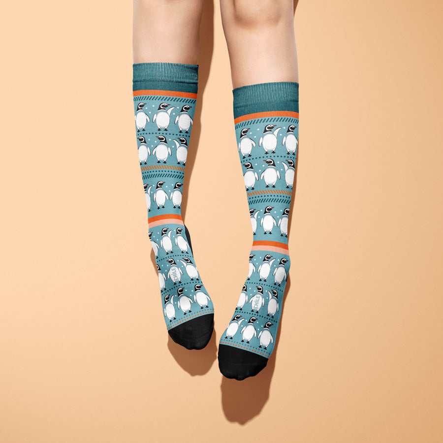 Calcetines Pingüino Patagónico | Vuelvo al Sur
