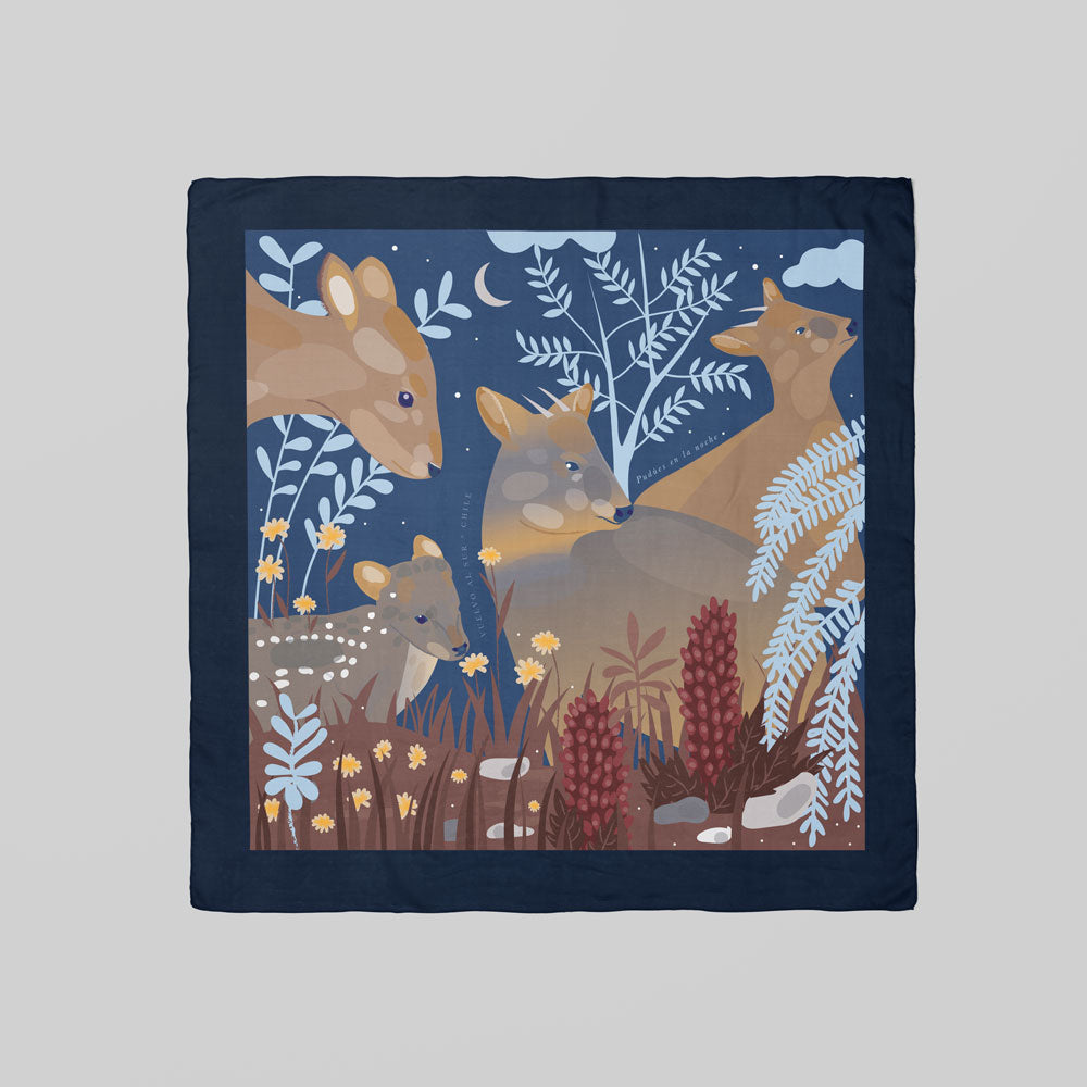 Pañuelo Pudúes en la Noche 60