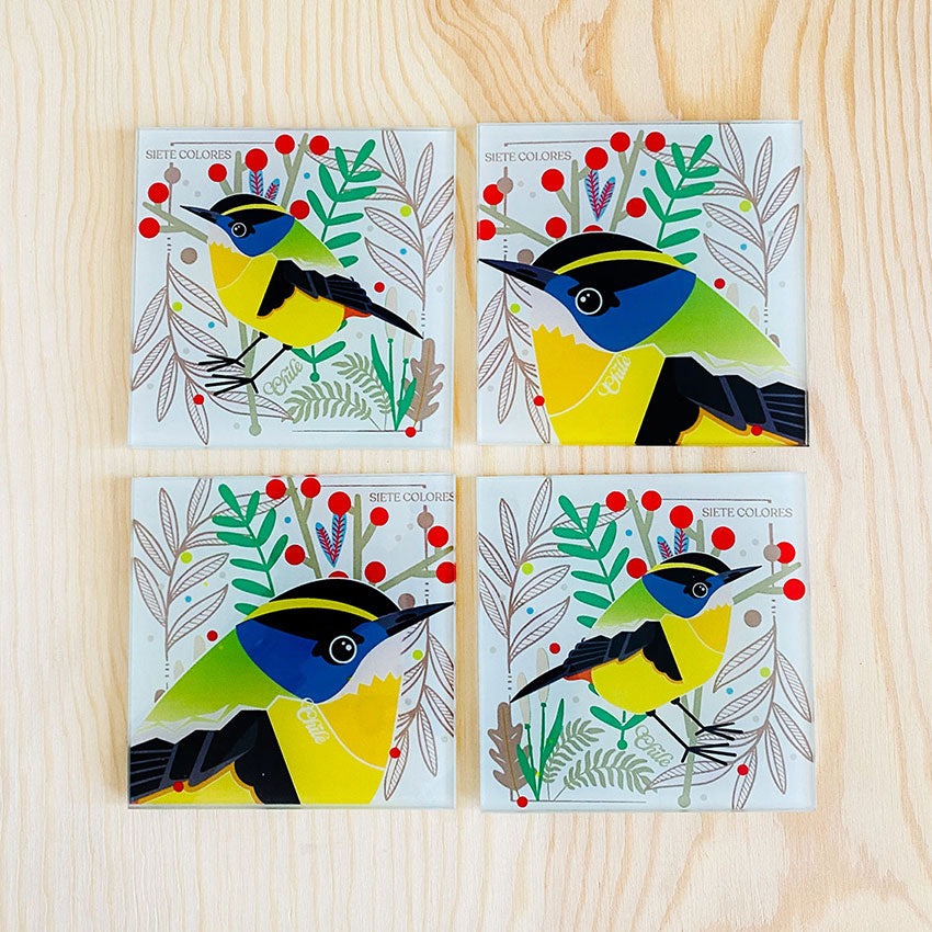 Posavasos-Siete-Colores