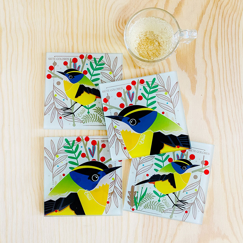 Posavasos-Siete-Colores