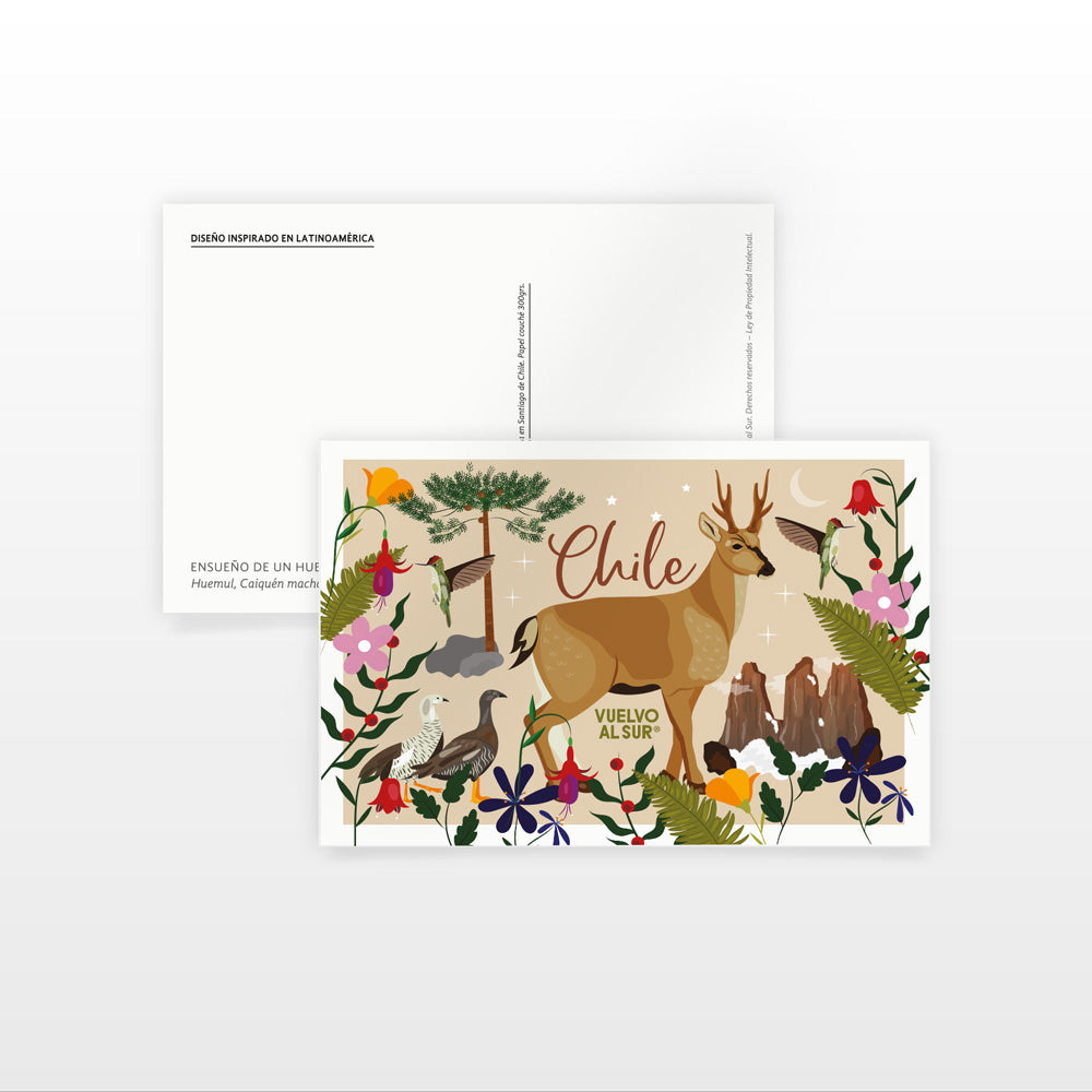 Set Postales Paisajes de Chile