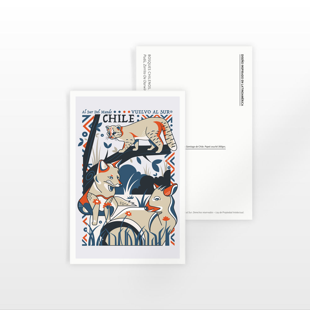 Postal_Gato_Guina_Zorro_Culpeo_Pudu