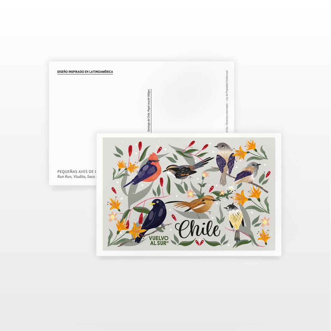 Postal_Pequenas_aves_de_Chile