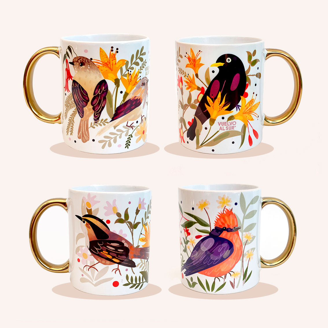 Gift Set x 4 Splendor Bowl Small Birds of Chile at Sunset