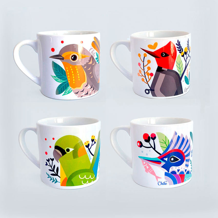 Set-Tacitas-Chucao-Martin-Pescador-Tricahue-Carpintero-Negro